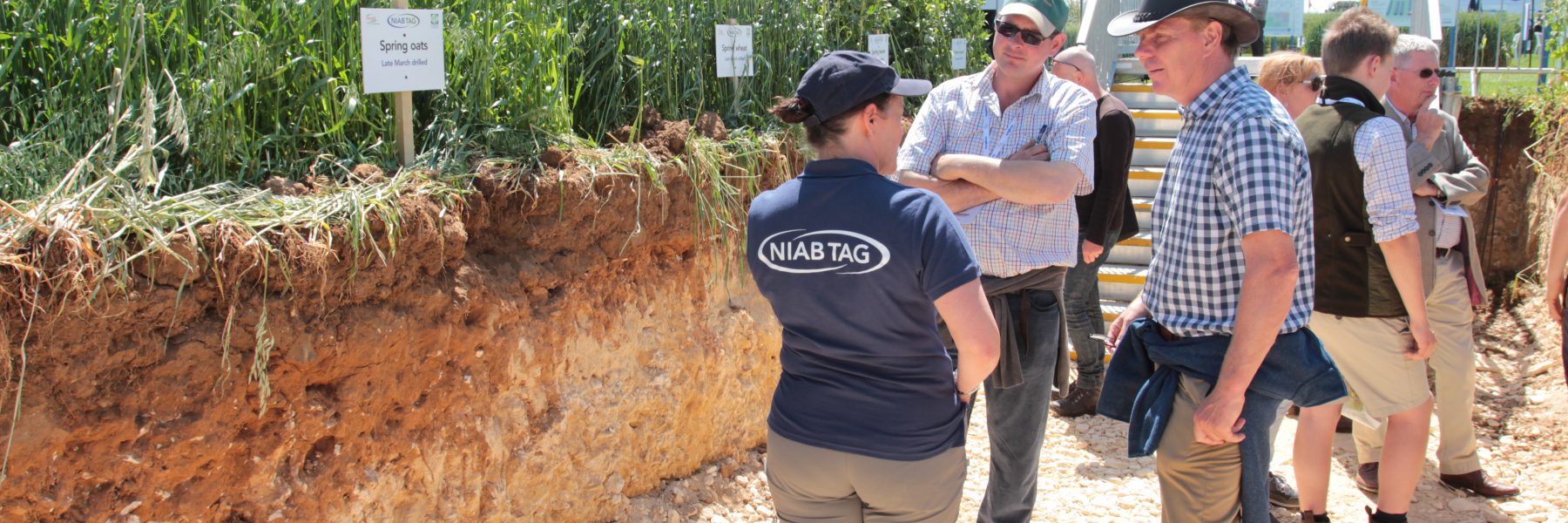 Soil health Cereals 17