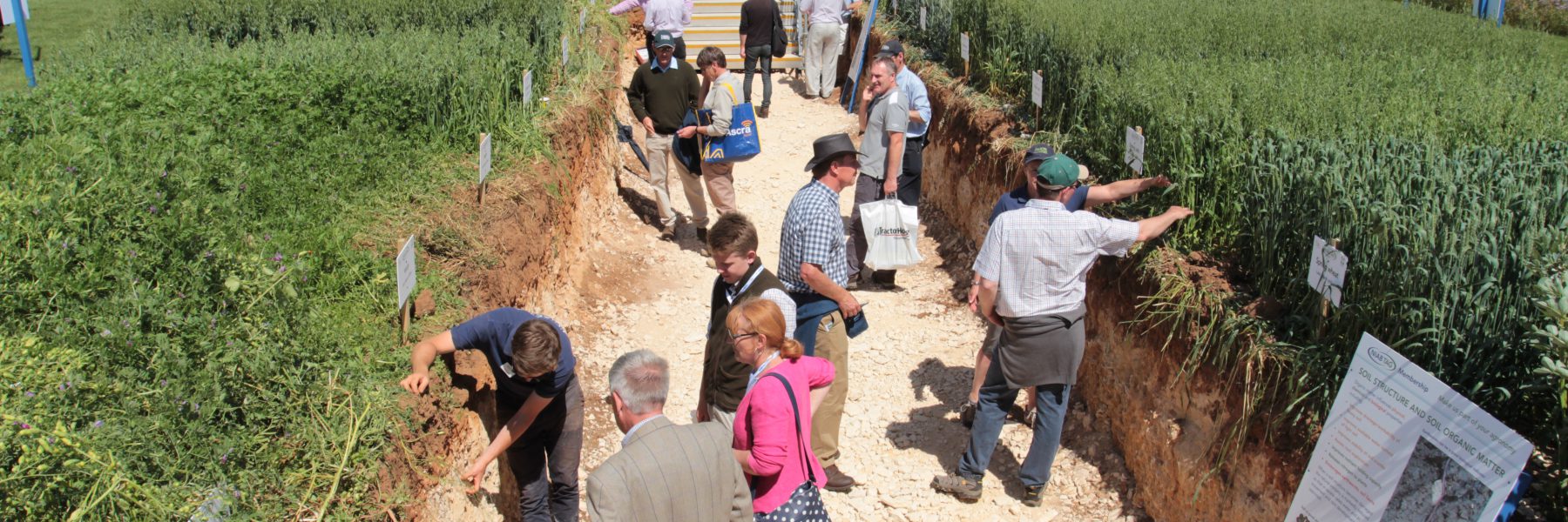 The Soil Pit - Cereals 2017